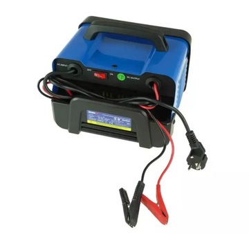 DEDRA PROSTOWNIK 25-180Ah 12/24V DEP021