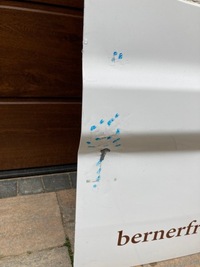 фото thumb №7, Ford transit connect ii mk2 дверь правое задние 13-