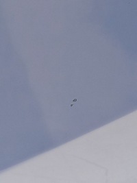 фото thumb №6, Дверь левый задняя opel corsa f kvc