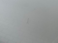 фото thumb №10, Дверь левый зад skoda superb ii универсал 08-15 lf9e