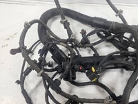 фото thumb №11, Fiat ducato iii жгут электропроводка двигателя 5802550740