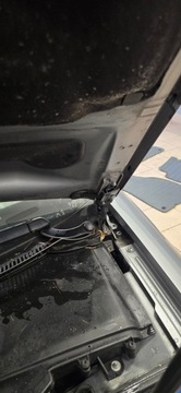 фото thumb №13, Петля капота audi a4 b7 2004-2008 європа колір 8e0823302e 8e0823301e