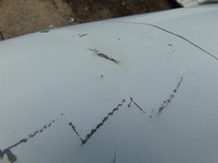 фото thumb №9, Капот петли iveco daily 4 iv 2014r- europa