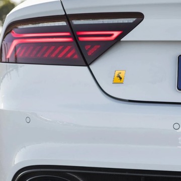 VOLVO POLESTAR R СКАЧАЮЩИЙ ЛОСЬ С ЭМБЛЕМОЙ МОСА КЛАПАН