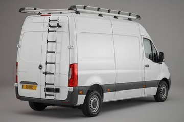 Лестница задней двери RHINO Fiat Ducato 2006-