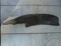 Шумоизоляция крыла левый левая перед ford c-max 1 mk1 Оригинал, фото thumb