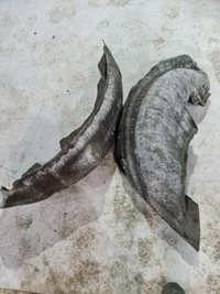 фото thumb №5, Подкрылок правый задняя outlander iii