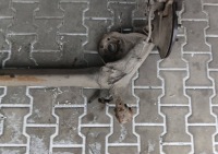 Toyota corolla e15 балка подвеска задняя oś задний  1.6 2009r Недорого, фото thumb