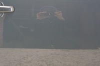 фото thumb №13, Дверь правый перед audi a4 b8 lz7h