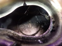 Cadillac bls 06- 1,9tid cdti 150km z19dth піддон масляна 55565487 Доставка, фото thumb