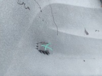 фото thumb №15, Hyundai i30 3 iii lift hb бампер задний задняя