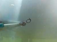 фото thumb №6, Subaru impreza ii gd рестайлинг ii 2.0 b 06r капот