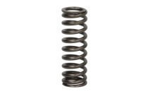 Купить Пружина клапана dt spare parts 2.10275, фото thumb