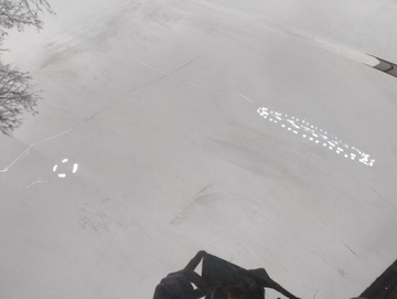 фото thumb №8, Bmw 5 g60 g61 капот кришка двигуна pas перед оригінал