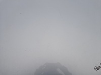 фото thumb №10, Peugeot 407 капот крышка двигателя eylc