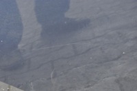 фото thumb №8, Volvo xc60 дверь правый задняя правое задние