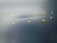 фото thumb №11, Bmw 8 g14 g15 coupe f91 f92 дверь правое передние правый перед dg7418100