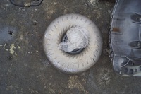 фото thumb №3, Коробка передач коробки передач infiniti q60 3.0t 4x4 74x2d