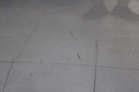 фото thumb №7, Alfa romeo mito 08r- дверь правые передние правые перед 669