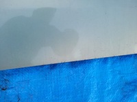 фото thumb №9, Opel-części | signum дверь правое задняя задние z393