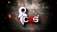 Зимние утепленные рабочие перчатки CXS, размер 11