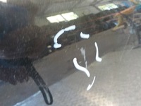 фото thumb №6, Master movano iii lift 19-21 крыло перед правый