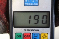 фото thumb №7, Двері праве задня задні сріблястий nissan maxima a33 00-05