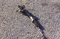 фото thumb №5, Трансмиссия рулевая eu 2.0 b mercedes w245