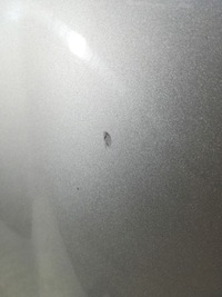 фото thumb №6, Mercedes gl x164 06/09 капот кришка кришка багажника перед шумоізоляція c775