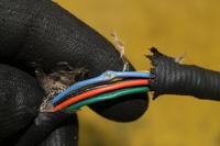 фото thumb №4, Датчик лямбда-зонд nox a0101531428 actros