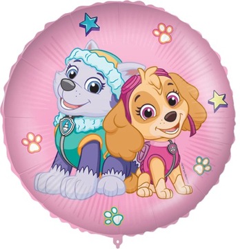 Набор именинных чашек и тарелок PAW PATROL, 1-9 лет PAW PATROL