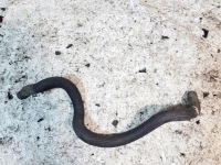 фото thumb №1, Провода шланги wody 2.0 kpl citroen xsara picasso