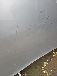 фото thumb №8, Капот renault kangoo 2 lift 2013-19