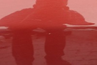 фото thumb №9, Volvo v60 дверь правый задняя правое задние 702