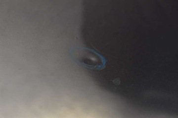 фото thumb №6, Двері ліві зад задні nh-737m honda civic 8 viii sedan 07-12