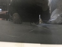 фото thumb №8, Audi q5 sq5 80f спойлер крышки зад 80f827933