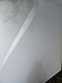 фото thumb №7, Перед капот бампер лампа renault laguna 06 ted69