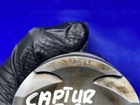 фото thumb №10, Поршень шатун шату́н captur dacia sandero nissan 0.9 tce h4bb408 20mm 46mm