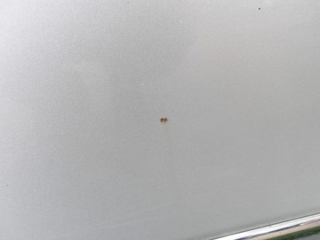 фото thumb №7, Passat b6 універсал двері передні i задні праві la7w