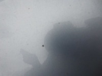 фото thumb №13, Дверь skoda superb ii правое передние lf8k оригинал