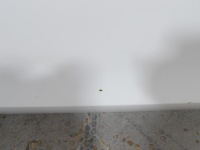 фото thumb №2, Skoda fabia ii 2 дверь перед левая 1026