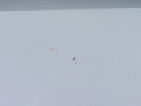 фото thumb №9, Бампер задня volvo xc90 ii 31353430