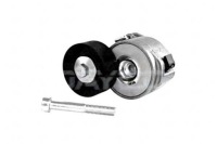 Купить Dayco натяжитель ремень клиновой wiel. fiat bravo 08, фото thumb