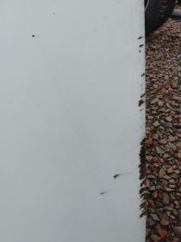 Toyota hilux vii 2012 капот Оригинал, фото thumb