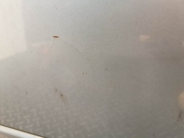 фото thumb №8, Дверь левый перед audi a4b7 код краски ly5j