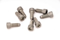 фото thumb №10, Luk 411 0160 10 набір гвинт, колесо маховик