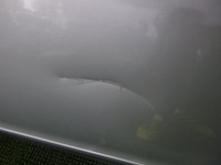 фото thumb №5, Mercedes clk w208 двері передні ліві колір 744