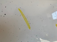 фото thumb №9, Citroen berlingo iv peugeot partner iv rifter дверь правое перед передние