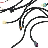 фото thumb №9, Samodzielna жгут трубопровод двигателя do