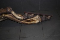 фото thumb №5, Катализатор правые audi s8 d3 5.2 fsi 4f0131701de